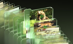 S130-C, Wildlife 8MP 4K Kamera mit Live View und Starlight