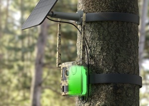 S130-C, Wildlife 8MP 4K Kamera mit Live View und Starlight